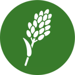 crop-icon_6_