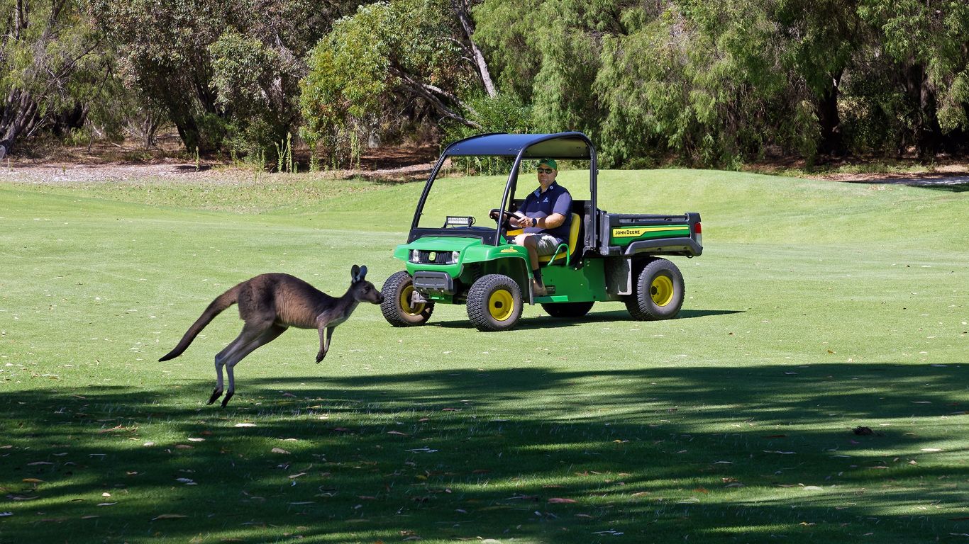 The locals also enjoy the parkland course which meanders through 36 hectares of natural bushland.