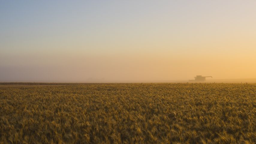 stock_field_2_854x480